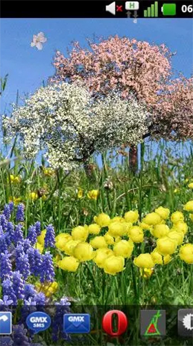 Fleurs de printemps  - télécharger gratuit un fond d'écran animé Paysage pour le portable.