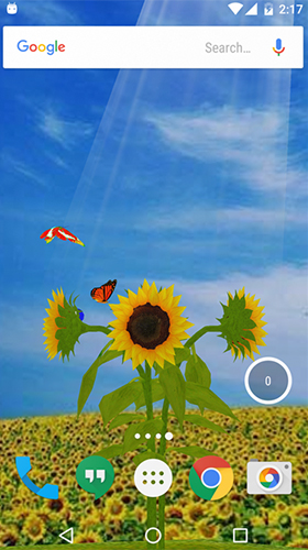 Tournesol 3D  - télécharger gratuit un fond d'écran animé Fleurs pour le portable.