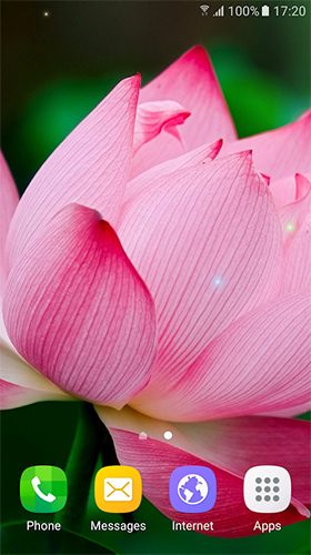 Fleurs tropiques  - télécharger gratuit un fond d'écran animé Fleurs pour le portable.