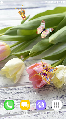 Télécharger gratuitement le fond d'écran animé Tulipes  sur les portables et les tablettes Android.