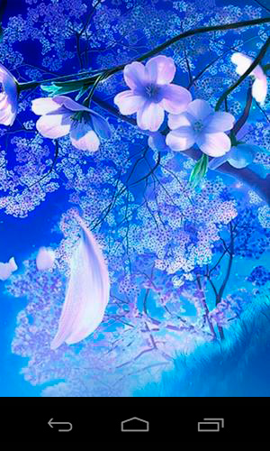 Sakura magique 3D - télécharger gratuit un fond d'écran animé Interactif pour le portable.