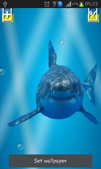 Requin méchant: Ecran craqué  - télécharger gratuit un fond d'écran animé Interactif pour le portable.