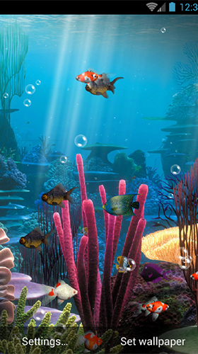 Télécharger Aquarium , fond d'écran animé gratuit pour Android sur le bureau. 