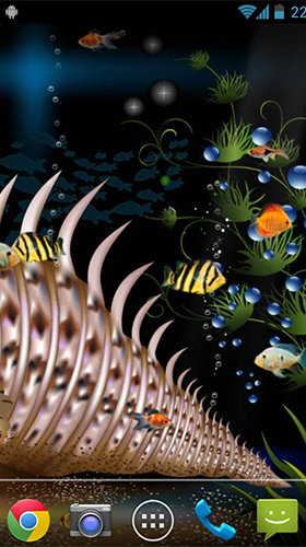 Télécharger Aquarium , fond d'écran animé gratuit pour Android sur le bureau. 