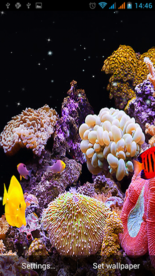 Aquarium - télécharger gratuit un fond d'écran animé Aquariums pour le portable.
