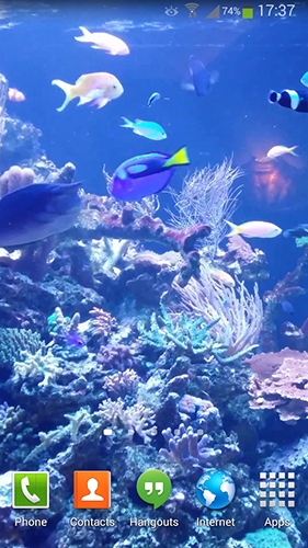 Aquarium HD 2 - télécharger gratuit un fond d'écran animé Aquariums pour le portable.