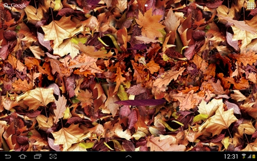 Feuilles d'automne 3D - télécharger gratuit un fond d'écran animé Paysage pour le portable.