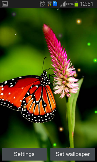 Meilleur papillon - télécharger gratuit un fond d'écran animé Plantes pour le portable.