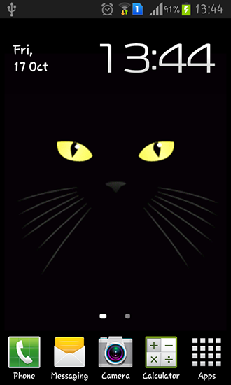 Chat noir  - télécharger gratuit un fond d'écran animé pour le portable.