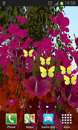 Papillons - télécharger gratuit un fond d'écran animé pour le portable.