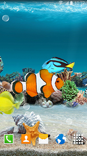 Poissons coralliens  - télécharger gratuit un fond d'écran animé 3D pour le portable.