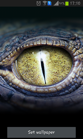 Les yeux du crocodile  - télécharger gratuit un fond d'écran animé pour le portable.
