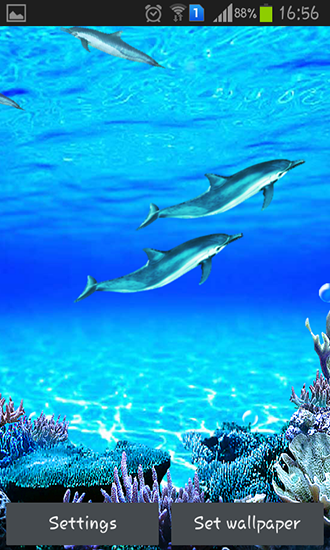 Sons des dauphins  - télécharger gratuit un fond d'écran animé Aquariums pour le portable.