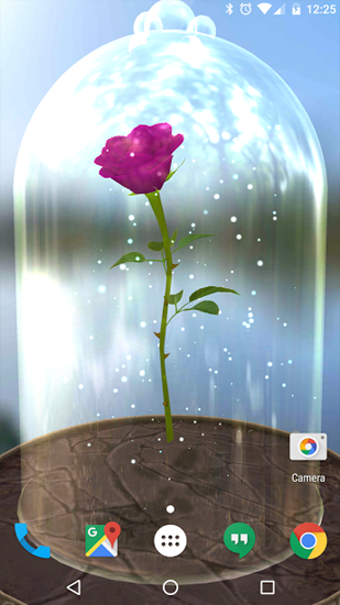 Télécharger Rose enchantée  , fond d'écran animé gratuit pour Android sur le bureau. 