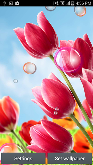 Fleurs 2015 - télécharger gratuit un fond d'écran animé Fleurs pour le portable.