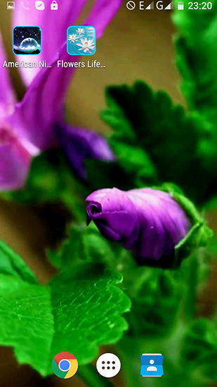 Vie des fleurs  - télécharger gratuit un fond d'écran animé Fleurs pour le portable.