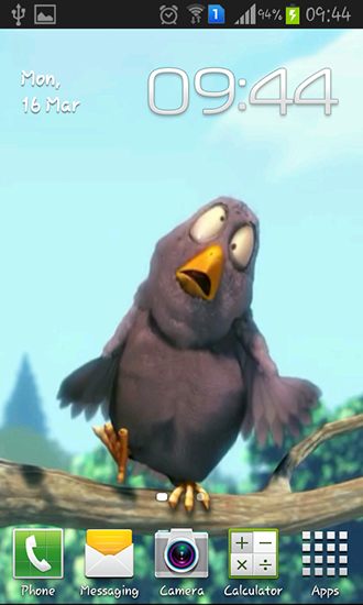 Oiseau drôle  - télécharger gratuit un fond d'écran animé Animaux pour le portable.