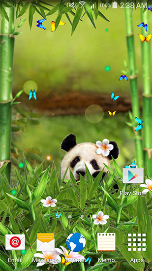 Panda ridicule  - télécharger gratuit un fond d'écran animé Animaux pour le portable.