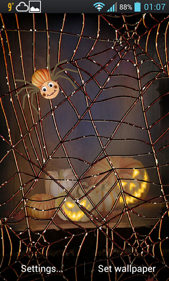 Halloween: Araignée - télécharger gratuit un fond d'écran animé Animaux pour le portable.