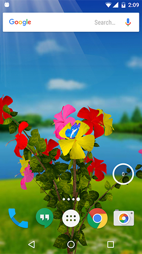 Télécharger Hibiscus 3D, fond d'écran animé gratuit pour Android sur le bureau. 
