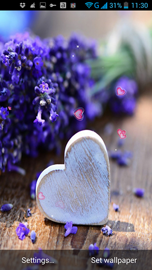 Amour et fleurs  - télécharger gratuit un fond d'écran animé Fleurs pour le portable.