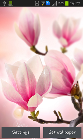 Magnolia - télécharger gratuit un fond d'écran animé Fleurs pour le portable.