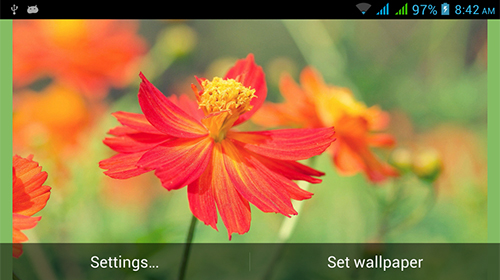Télécharger Nature HD , fond d'écran animé gratuit pour Android sur le bureau. 
