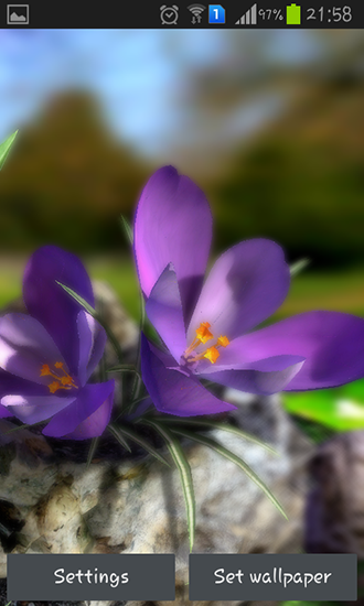 Vie organique: Fleurs printanières 3D - télécharger gratuit un fond d'écran animé Paysage pour le portable.