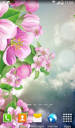 Sakura nocturne  - télécharger gratuit un fond d'écran animé Fleurs pour le portable.