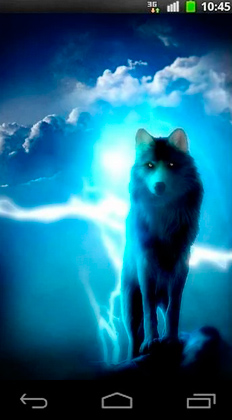 La nuit des loups - télécharger gratuit un fond d'écran animé Animaux pour le portable.