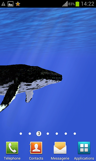 Télécharger gratuitement le fond d'écran animé Océan: Baleine sur les portables et les tablettes Android.