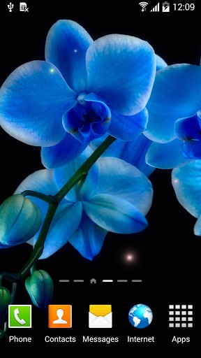 Les orchidées  - télécharger gratuit un fond d'écran animé Interactif pour le portable.