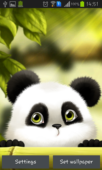 Panda - télécharger gratuit un fond d'écran animé Interactif pour le portable.