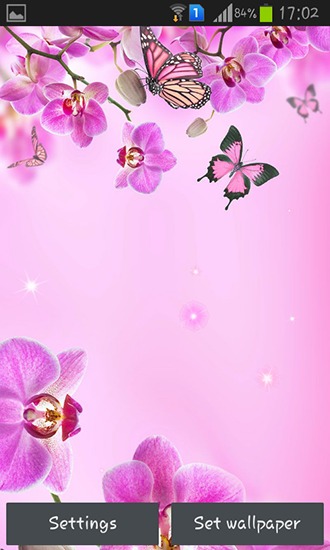 Télécharger gratuitement le fond d'écran animé Fleurs roses  sur les portables et les tablettes Android.
