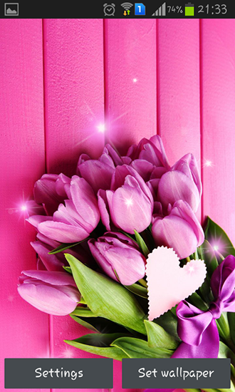 Tulipes roses  - télécharger gratuit un fond d'écran animé Fleurs pour le portable.