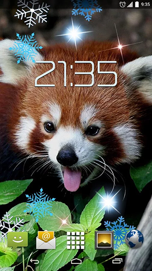 Télécharger gratuitement le fond d'écran animé Panda rouge  sur les portables et les tablettes Android.