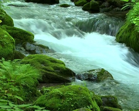 Courant d'une fleuve - télécharger gratuit un fond d'écran animé Paysage pour le portable.