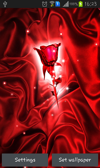 Rose de cristal - télécharger gratuit un fond d'écran animé Fleurs pour le portable.