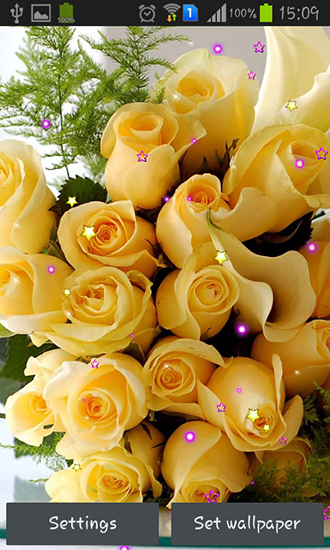Roses et amour - télécharger gratuit un fond d'écran animé Fleurs pour le portable.
