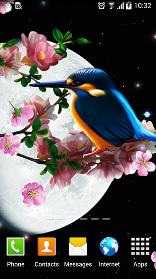 Sakura et oiseau - télécharger gratuit un fond d'écran animé Vecteur pour le portable.
