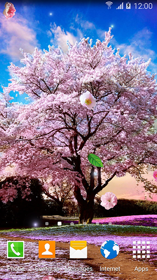 Jardins du sakura - télécharger gratuit un fond d'écran animé Fleurs pour le portable.