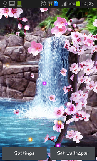 Télécharger gratuitement le fond d'écran animé Sakura: Cascade  sur les portables et les tablettes Android.