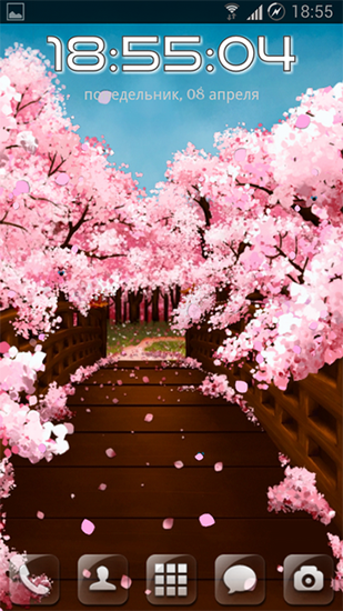 Le pont de sakura  - télécharger gratuit un fond d'écran animé Fleurs pour le portable.