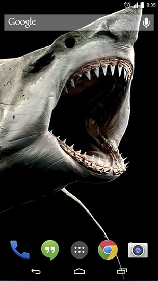 Requin 3D - télécharger gratuit un fond d'écran animé Animaux pour le portable.