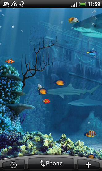 Récif de requin  - télécharger gratuit un fond d'écran animé Aquariums pour le portable.