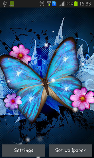 Papillons brillants  - télécharger gratuit un fond d'écran animé Animaux pour le portable.