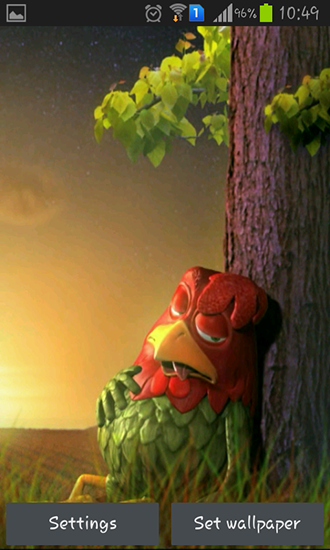 Coq somnolent  - télécharger gratuit un fond d'écran animé Animaux pour le portable.