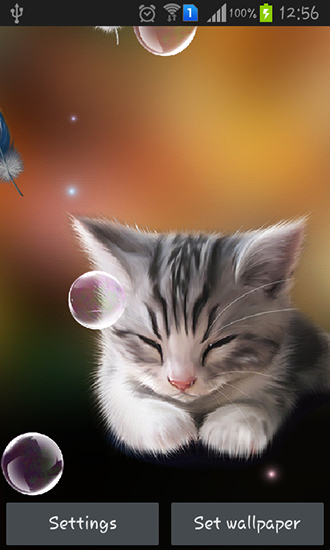 Chaton endormi - télécharger gratuit un fond d'écran animé Animaux pour le portable.