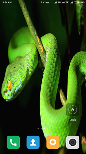 Télécharger Serpent HD , fond d'écran animé gratuit pour Android sur le bureau. 
