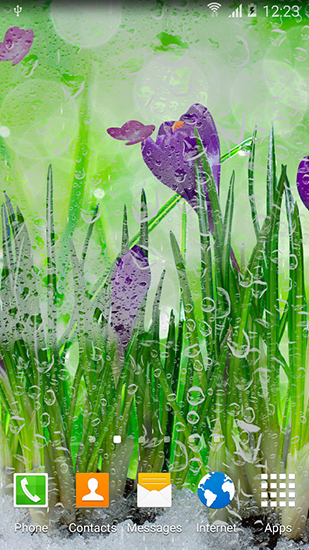 Fleurs de printemps - télécharger gratuit un fond d'écran animé Plantes pour le portable.